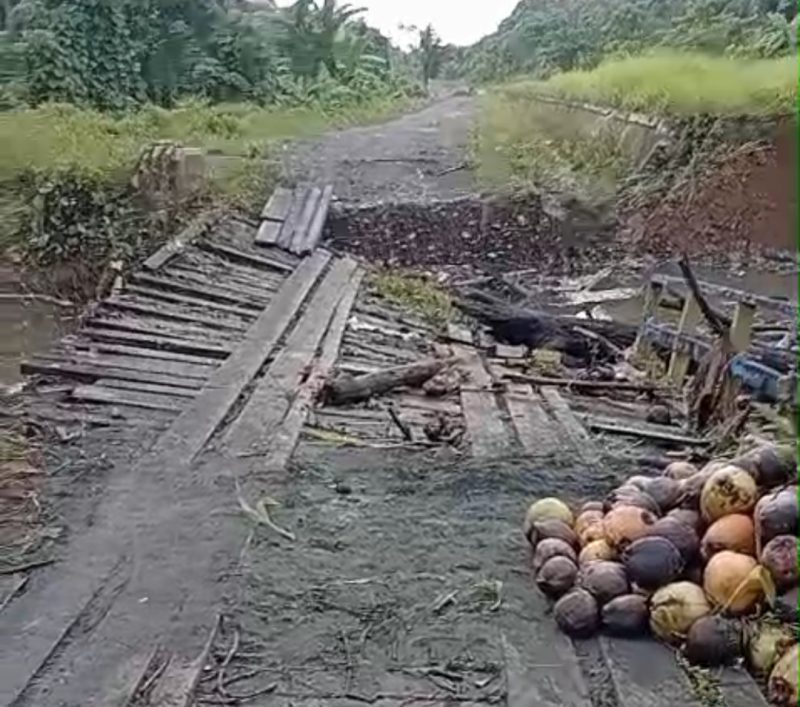 Kondisi Jembatan Trans Patlean Sangat Memperihatinkan
(Foto : Agus Handoko)